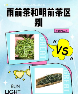 家里阳光不足怎么养花，选对植物种类，掌握养护技巧