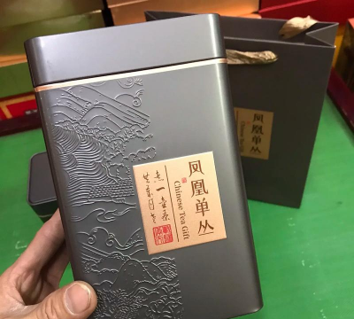 家里阳光不足怎么养花，选对植物种类，掌握养护技巧