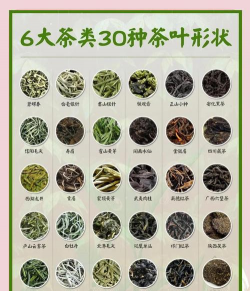 家里阳光不足怎么养花，选对植物种类，掌握养护技巧