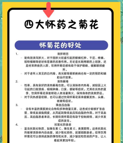 家里阳光不足怎么养花，选对植物种类，掌握养护技巧
