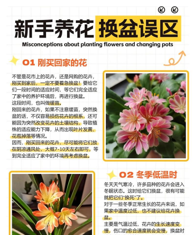 家里阳光不足怎么养花，选对植物种类，掌握养护技巧