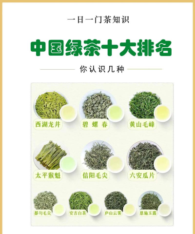 家里阳光不足怎么养花，选对植物种类，掌握养护技巧