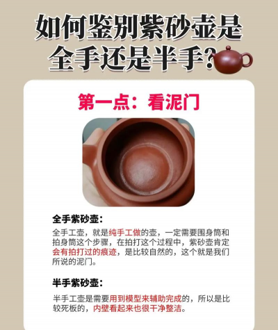 家里阳光不足怎么养花，选对植物种类，掌握养护技巧