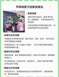 家里阳光不足怎么养花，选对植物种类，掌握养护技巧