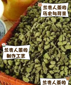 家里阳光不足怎么养花，选对植物种类，掌握养护技巧