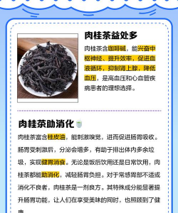 家里阳光不足怎么养花，选对植物种类，掌握养护技巧