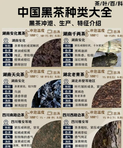 家里阳光不足怎么养花，选对植物种类，掌握养护技巧