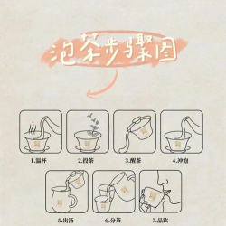 家里阳光不足怎么养花，选对植物种类，掌握养护技巧