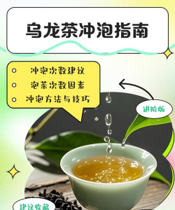 家里阳光不足怎么养花，选对植物种类，掌握养护技巧