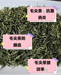 家里阳光不足怎么养花，选对植物种类，掌握养护技巧