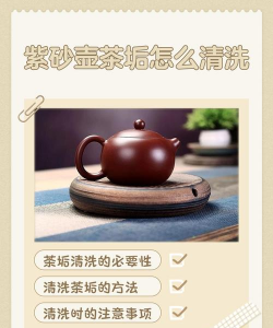 家里阳光不足怎么养花，选对植物种类，掌握养护技巧