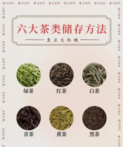 家里阳光不足怎么养花，选对植物种类，掌握养护技巧