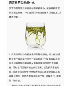 家里阳光不足怎么养花，选对植物种类，掌握养护技巧