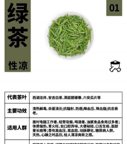 家里阳光不足怎么养花，选对植物种类，掌握养护技巧