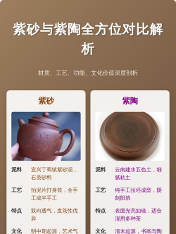 家里阳光不足怎么养花，选对植物种类，掌握养护技巧