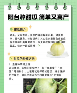 家里阳光不足怎么养花，选对植物种类，掌握养护技巧