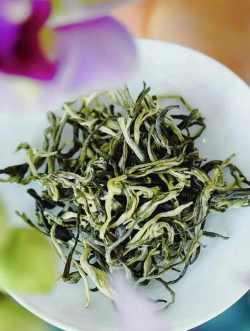 家里阳光不足怎么养花，选对植物种类，掌握养护技巧