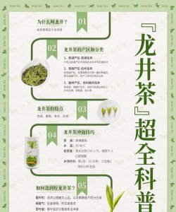 家里阳光不足怎么养花，选对植物种类，掌握养护技巧