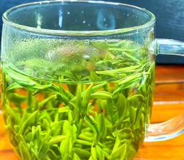 家里阳光不足怎么养花，选对植物种类，掌握养护技巧