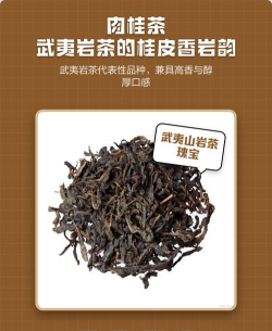 家里阳光不足怎么养花，选对植物种类，掌握养护技巧