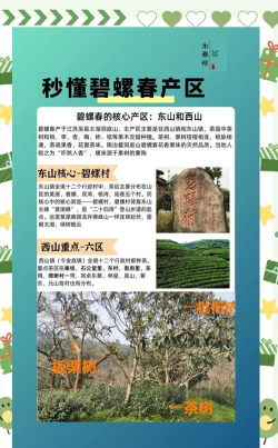 家里阳光不足怎么养花，选对植物种类，掌握养护技巧
