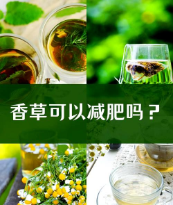 家里阳光不足怎么养花，选对植物种类，掌握养护技巧