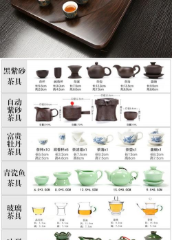 家里阳光不足怎么养花，选对植物种类，掌握养护技巧