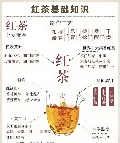 家里阳光不足怎么养花，选对植物种类，掌握养护技巧