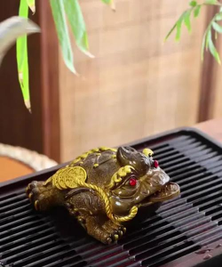 家里阳光不足怎么养花，选对植物种类，掌握养护技巧