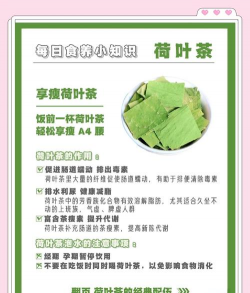 家里阳光不足怎么养花，选对植物种类，掌握养护技巧