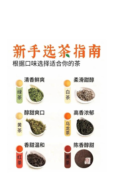 家里阳光不足怎么养花，选对植物种类，掌握养护技巧