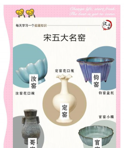 家里阳光不足怎么养花，选对植物种类，掌握养护技巧