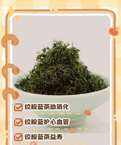 家里阳光不足怎么养花，选对植物种类，掌握养护技巧
