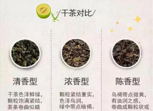 家里阳光不足怎么养花，选对植物种类，掌握养护技巧