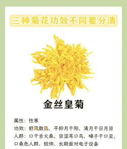 家里阳光不足怎么养花，选对植物种类，掌握养护技巧