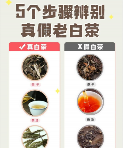 家里阳光不足怎么养花，选对植物种类，掌握养护技巧