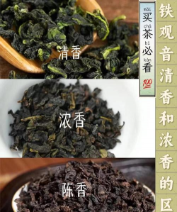家里阳光不足怎么养花，选对植物种类，掌握养护技巧