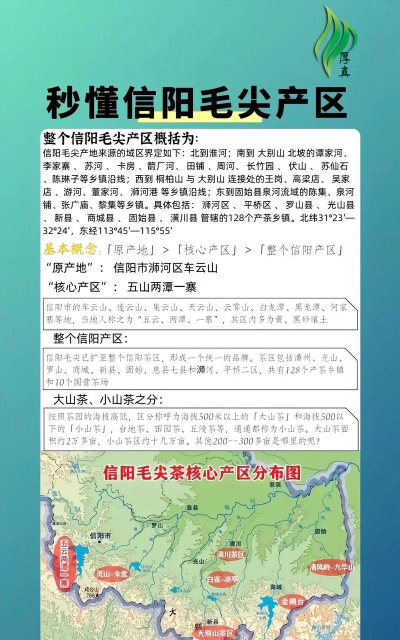 家里阳光不足怎么养花，选对植物种类，掌握养护技巧
