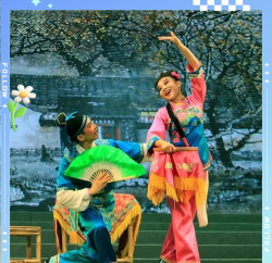 家里阳光不足怎么养花，选对植物种类，掌握养护技巧