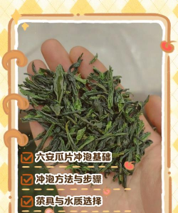 家里阳光不足怎么养花，选对植物种类，掌握养护技巧