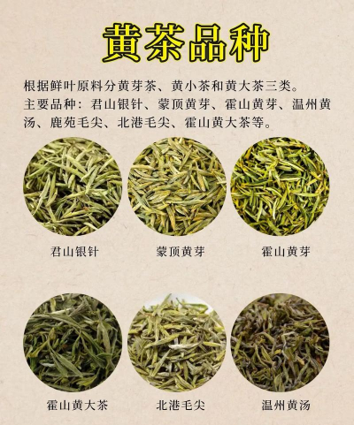 家里阳光不足怎么养花，选对植物种类，掌握养护技巧