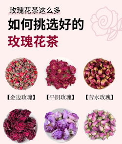 家里阳光不足怎么养花，选对植物种类，掌握养护技巧