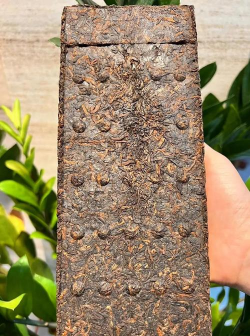 家里阳光不足怎么养花，选对植物种类，掌握养护技巧