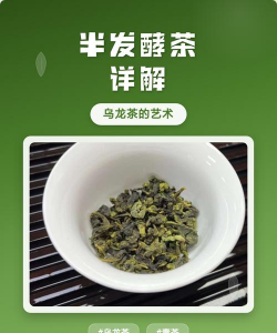 家里阳光不足怎么养花，选对植物种类，掌握养护技巧