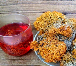 家里阳光不足怎么养花，选对植物种类，掌握养护技巧