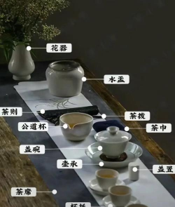 家里阳光不足怎么养花，选对植物种类，掌握养护技巧