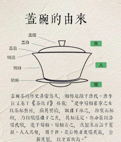 家里阳光不足怎么养花，选对植物种类，掌握养护技巧