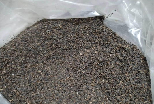 家里阳光不足怎么养花，选对植物种类，掌握养护技巧