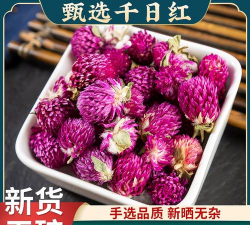 家里阳光不足怎么养花，选对植物种类，掌握养护技巧