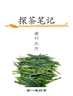 家里阳光不足怎么养花，选对植物种类，掌握养护技巧